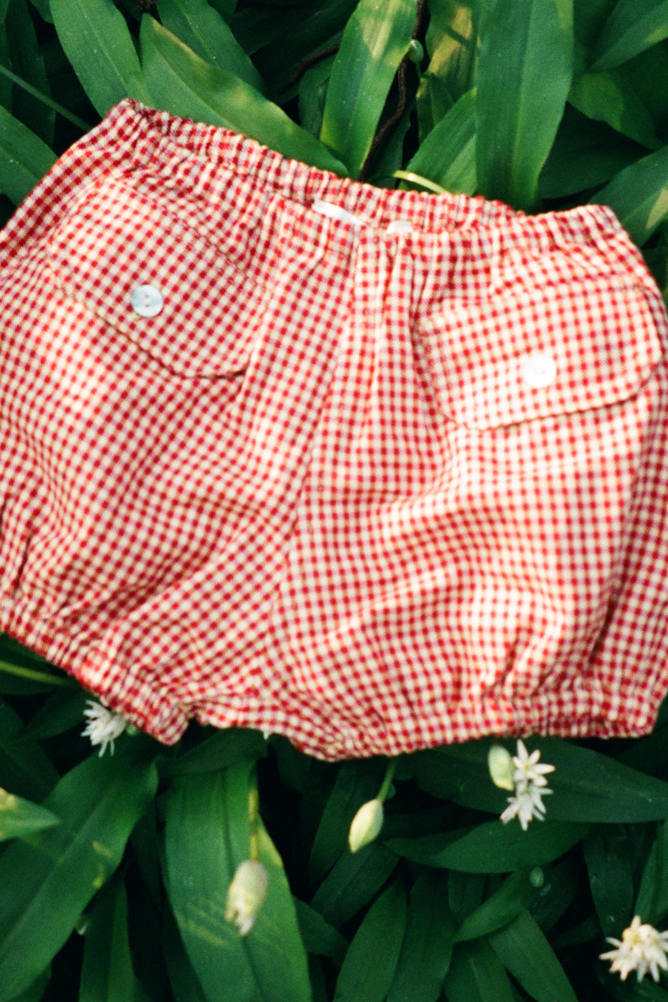 Help Mommy Bloomers- Gingham
